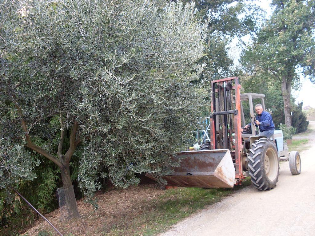 Agriturismo La Marletta Imola Dış mekan fotoğraf